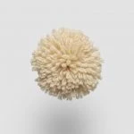 FdS Band 0 New Zealand Wool (W): W512 Vanille