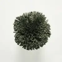 T79 Green Moss