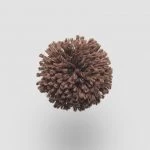 FdS Band 0 New Zealand Wool (W): W211 Friar Brown