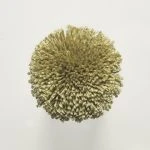 FdS Band 0 Botanical Silk (T): T63 Gold Stone