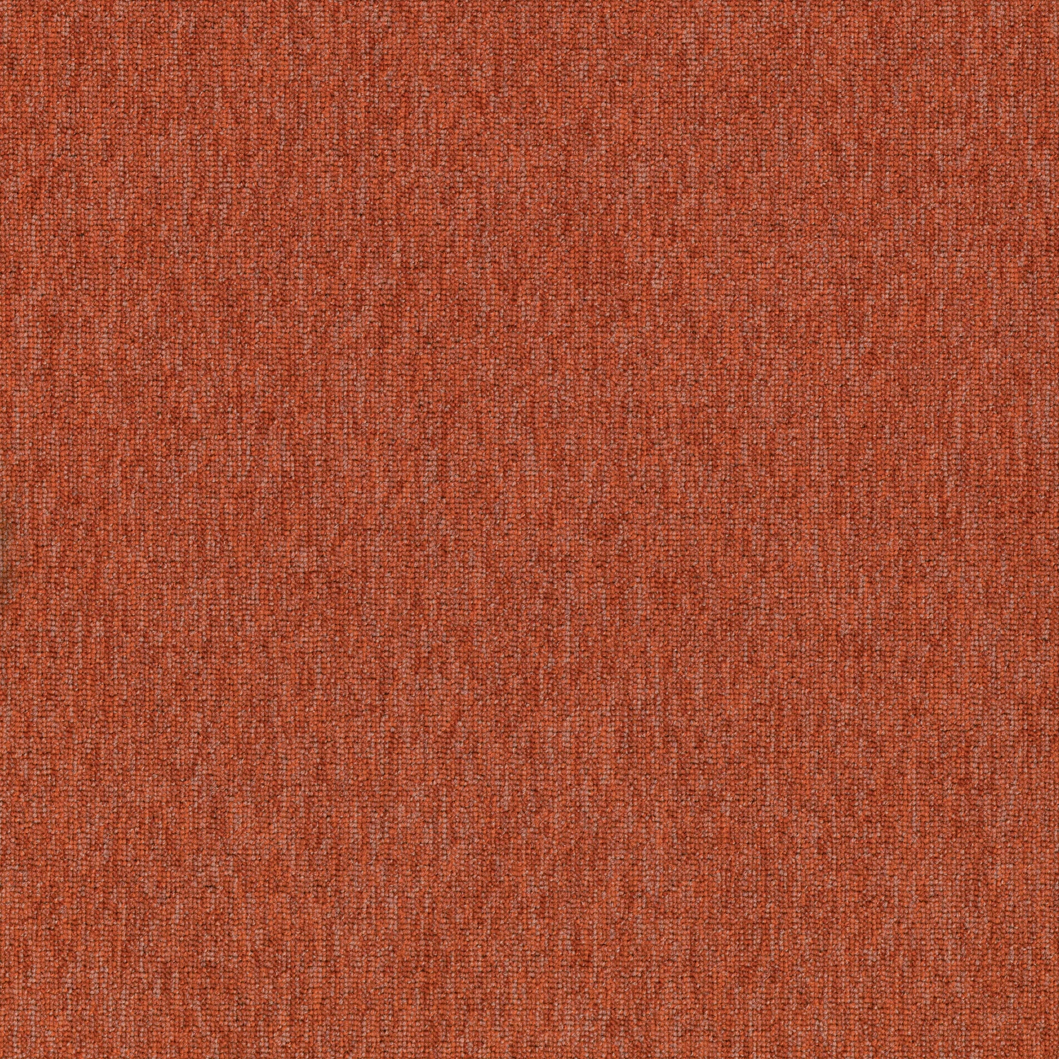 Auxiliary Complement tw sd 50x50 cm: Coral 83866
