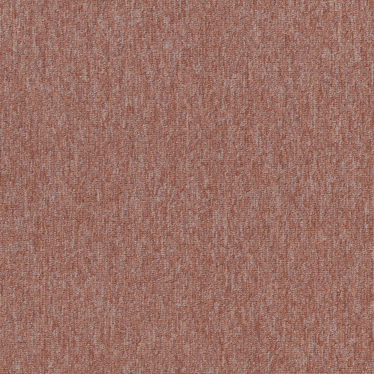 Auxiliary Complement tw sd 50x50 cm: Blush 83675