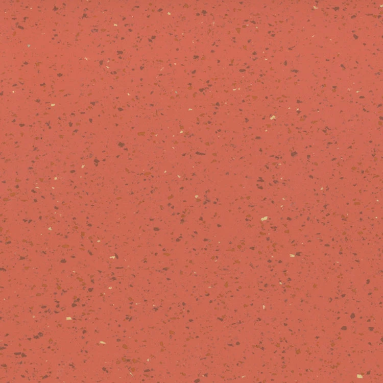 Dharma pro 2 mm 190: D19 Pompei