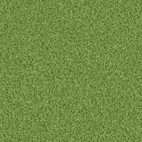 1422 Grashopper