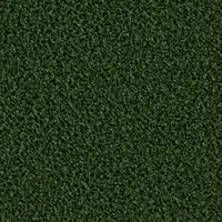 6874 Evergreen