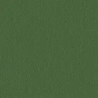 0919 Gras