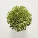 FdS Band 0 Botanical Silk (T): T48 Olive Green
