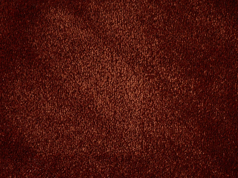 Chamonix 100% Nylon lxb 400  : 190248 Amber