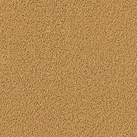 7723 Camel