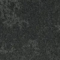 34310 Inky Shade