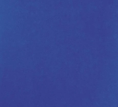 Revexpo dilour rsn 200: 1349 Bleu Roi