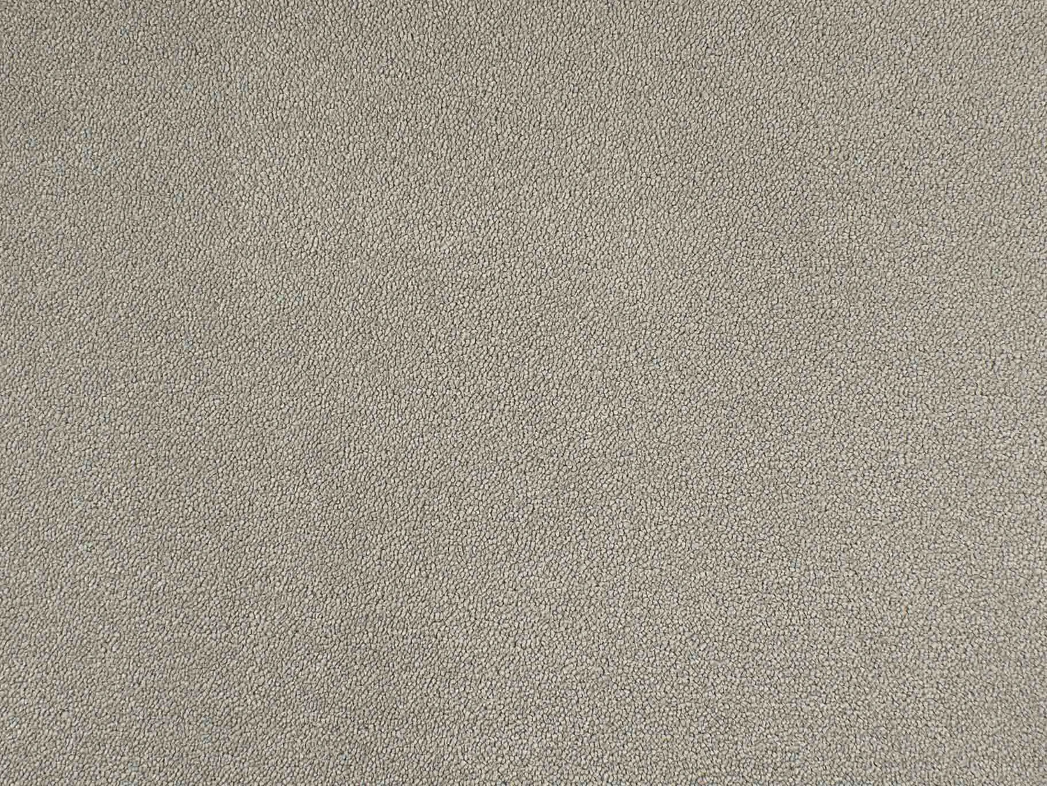 Chablis 100% Nylon lxb 400 500  : 130115 Cloud