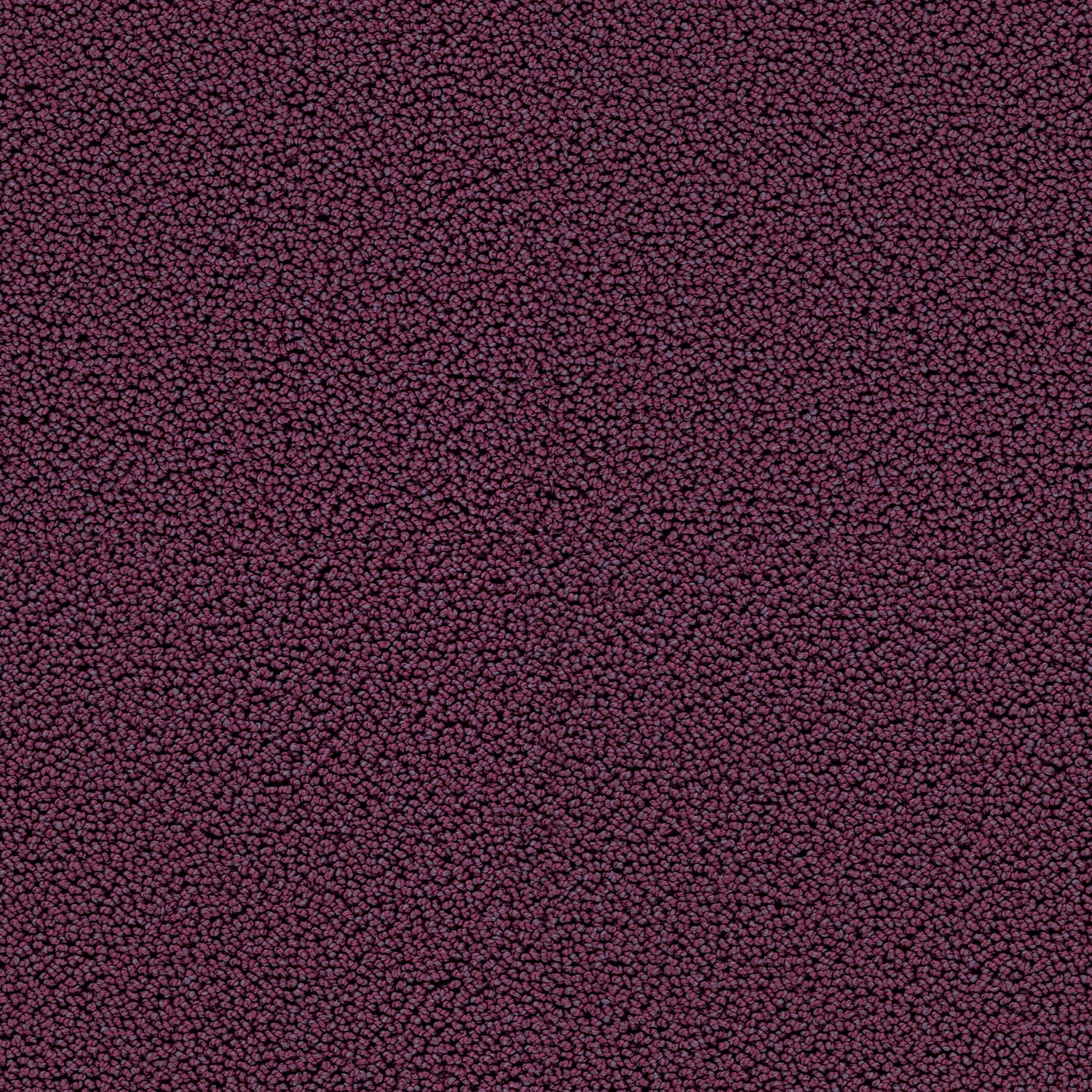 Highloop cab 400: 7711 Blueberry