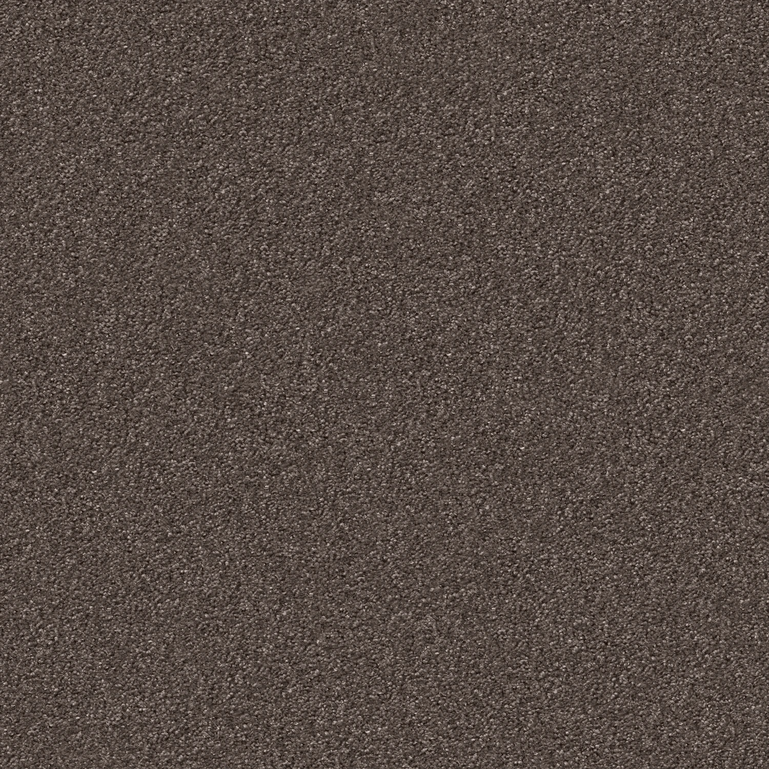 Silky Seal 1200 Acoustic 50x50 cm: 1233 Taupe