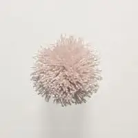 T113 Light Peach