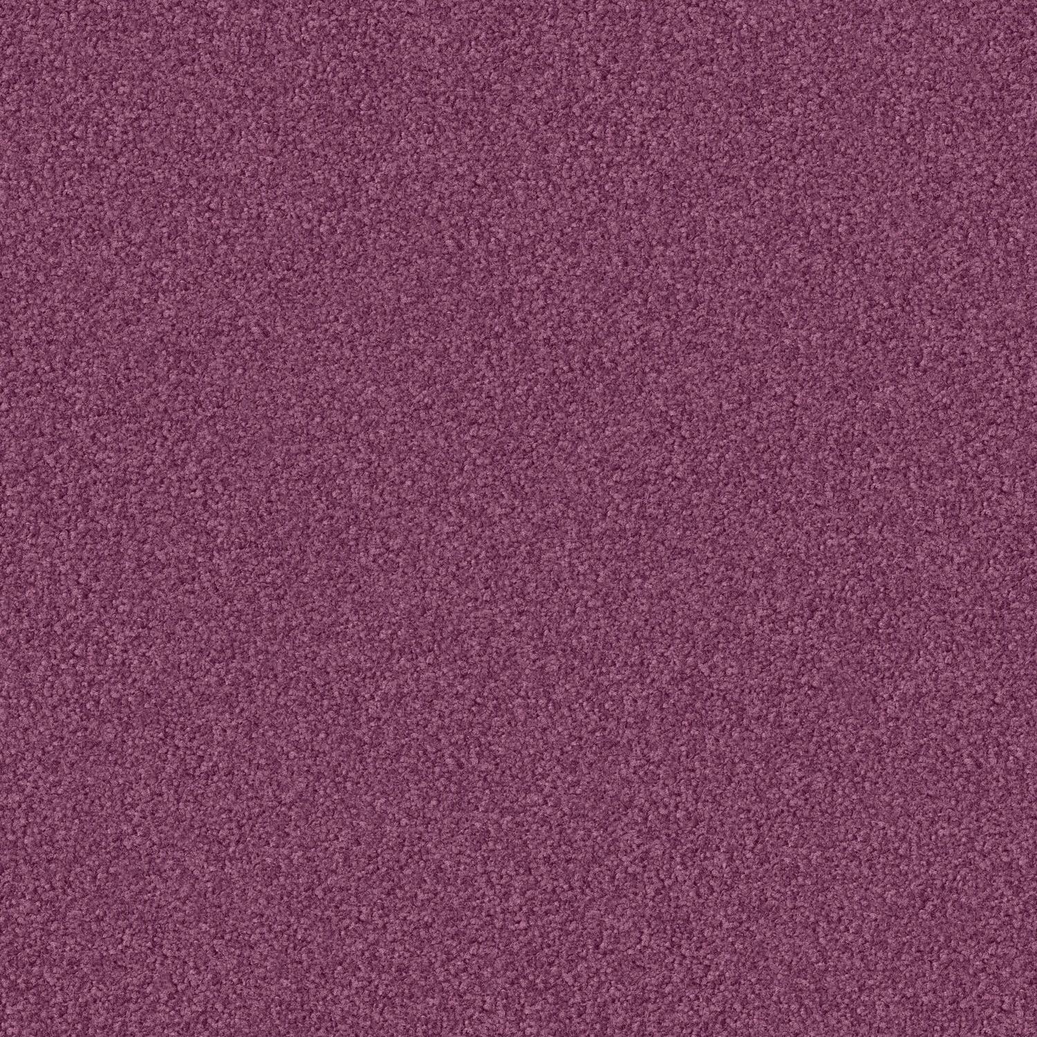 Madra 1100 cab 400: 1130 Orchidee