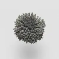 W238 Greyish Green