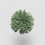 FdS Band 0 New Zealand Wool (W): W770 Garden Green