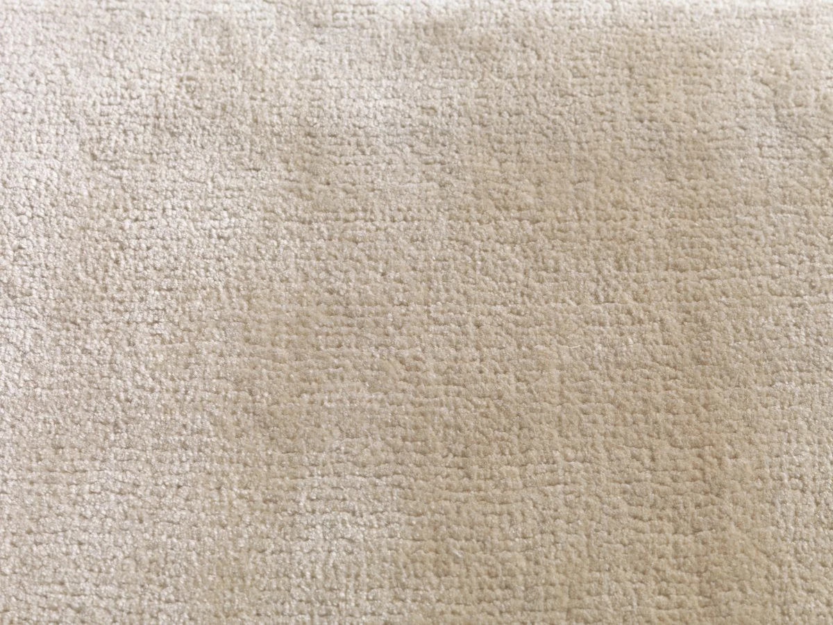 Simla ct 400 500: Ivory