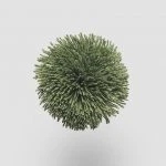 FdS Band 0 Mohair (TW): TW563 Bottle