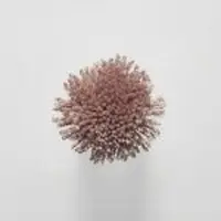 TT157 Terracotta