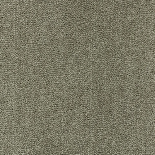 Sheba ab (400) 500 : 1025 Olive