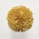 FdS Band 0 Botanical Silk (T): T43 Gold