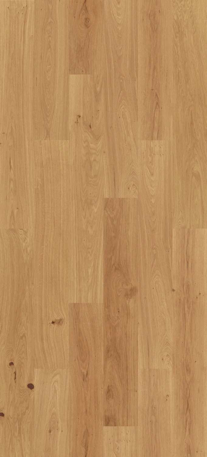 Parqwood v2 XXL 210x2200 mm Naturel: Nature