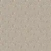 Music Beige