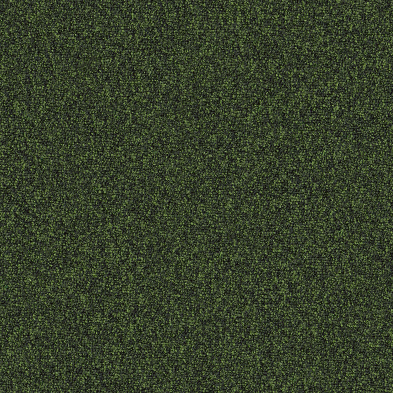 Nylloop 600 Econyl sd Acoustic 50x50 cm: 613 Kiwi