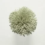 FdS Band 0 Botanical Silk (T): T96 Smoke Green