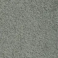3013 Pearl Grey