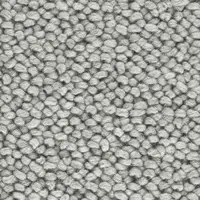 Pebble