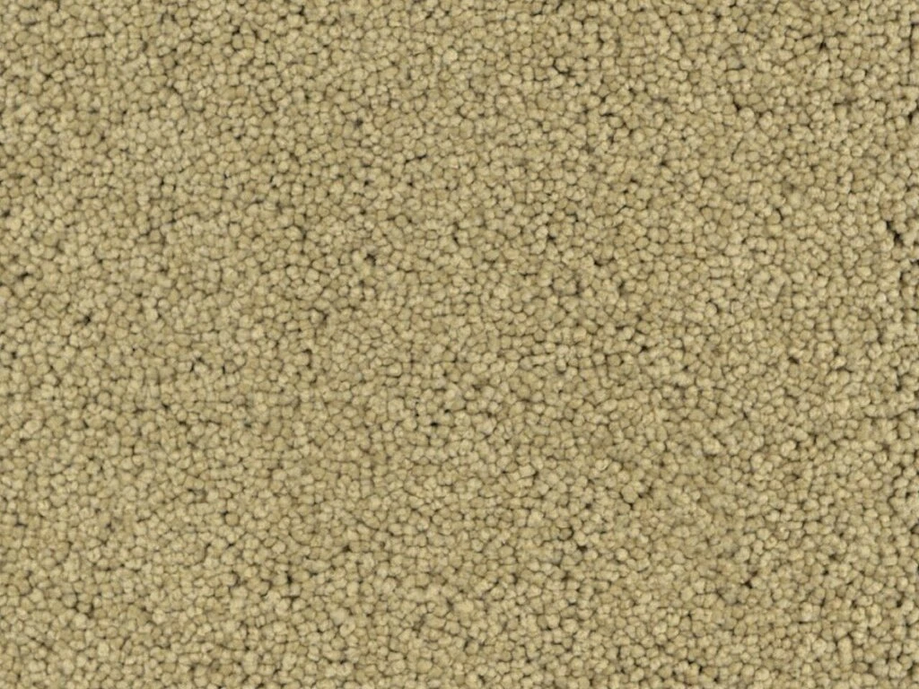 Kashmir ltx 200: 091028-081