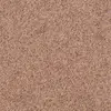 T371210 Champagne