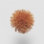 FdS Band 0 Mohair (TW): TW845 Apricot Orange