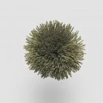 FdS Band 0 Mohair (TW): TW557 Pesto