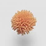 FdS Band 0 New Zealand Wool (W): W683 Pumpkin