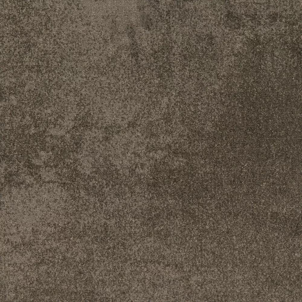 Haze cp b2b 50x50 cm: CP 850