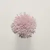 T114 Crystal Pink