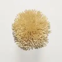 T86 Dried Wheat
