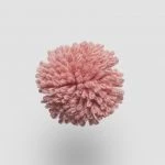 FdS Band 0 New Zealand Wool (W): W654 Pink