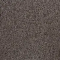20213 Seranilla Stone