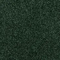 000010-406