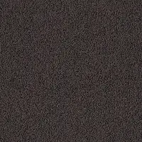 7914 Baie Noire
