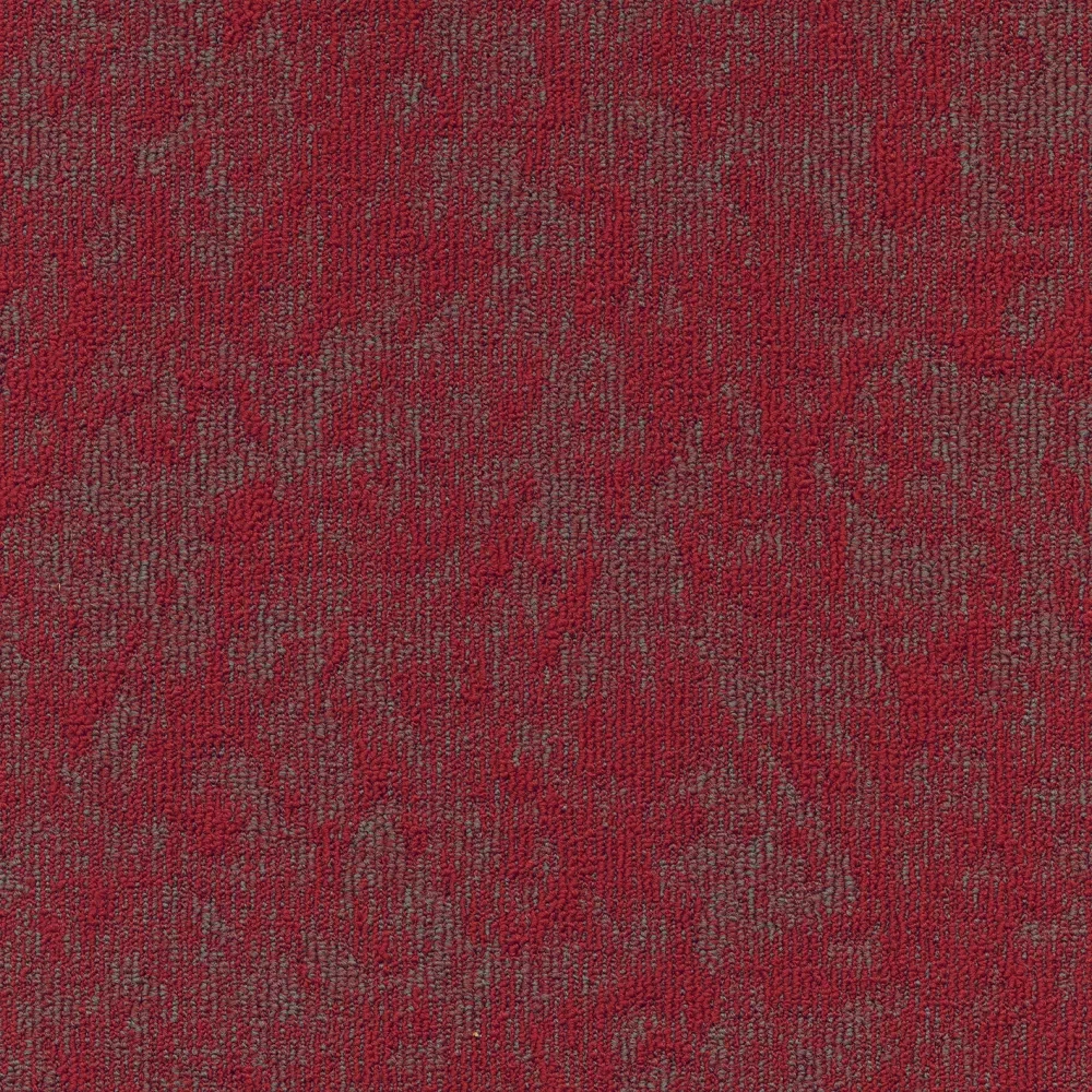 Vision sd b2b 50x50 cm: 332