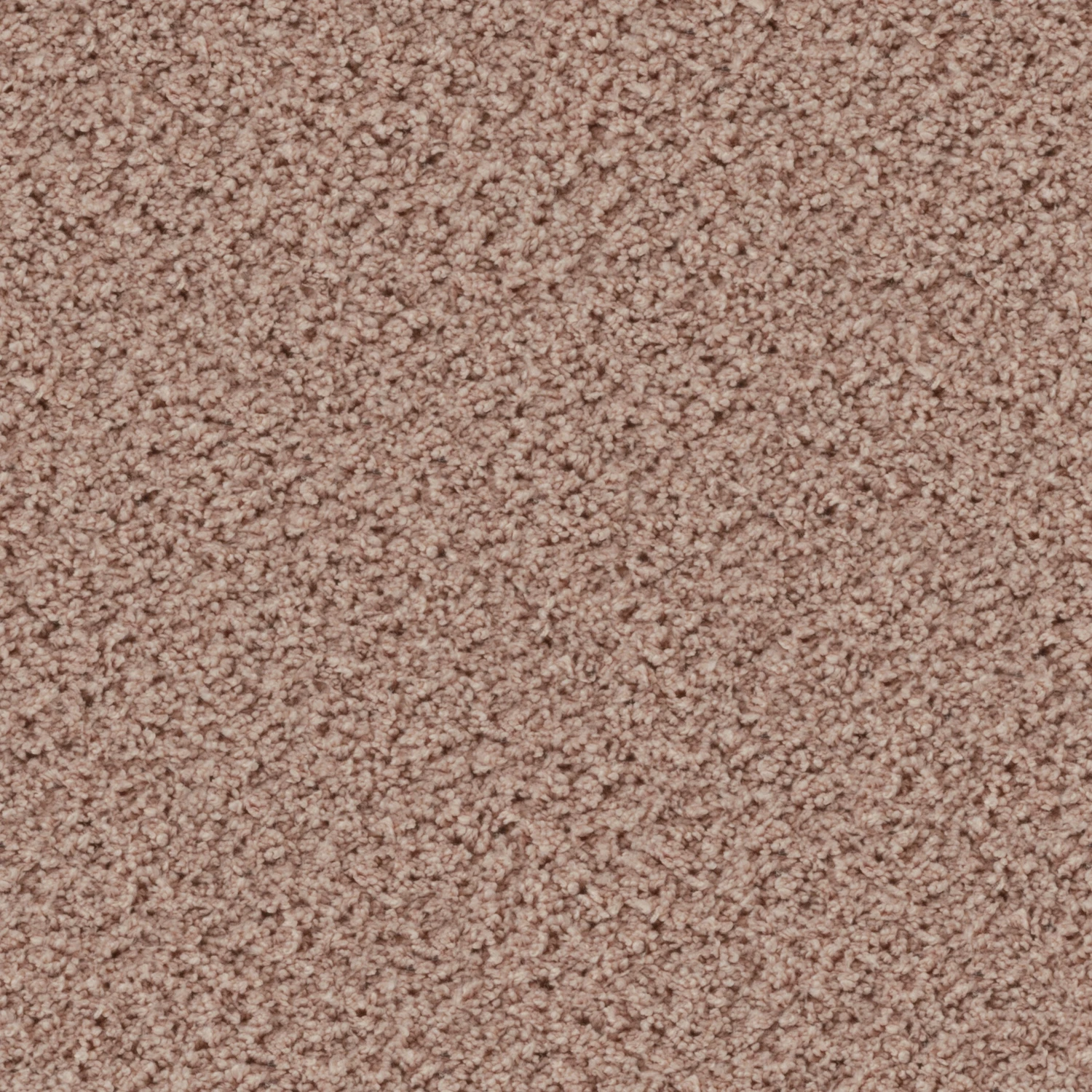 Eddy 2100 cab 400: 2152 Rose