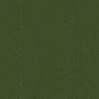 0909 Grasshopper