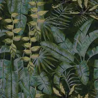 Jane 601