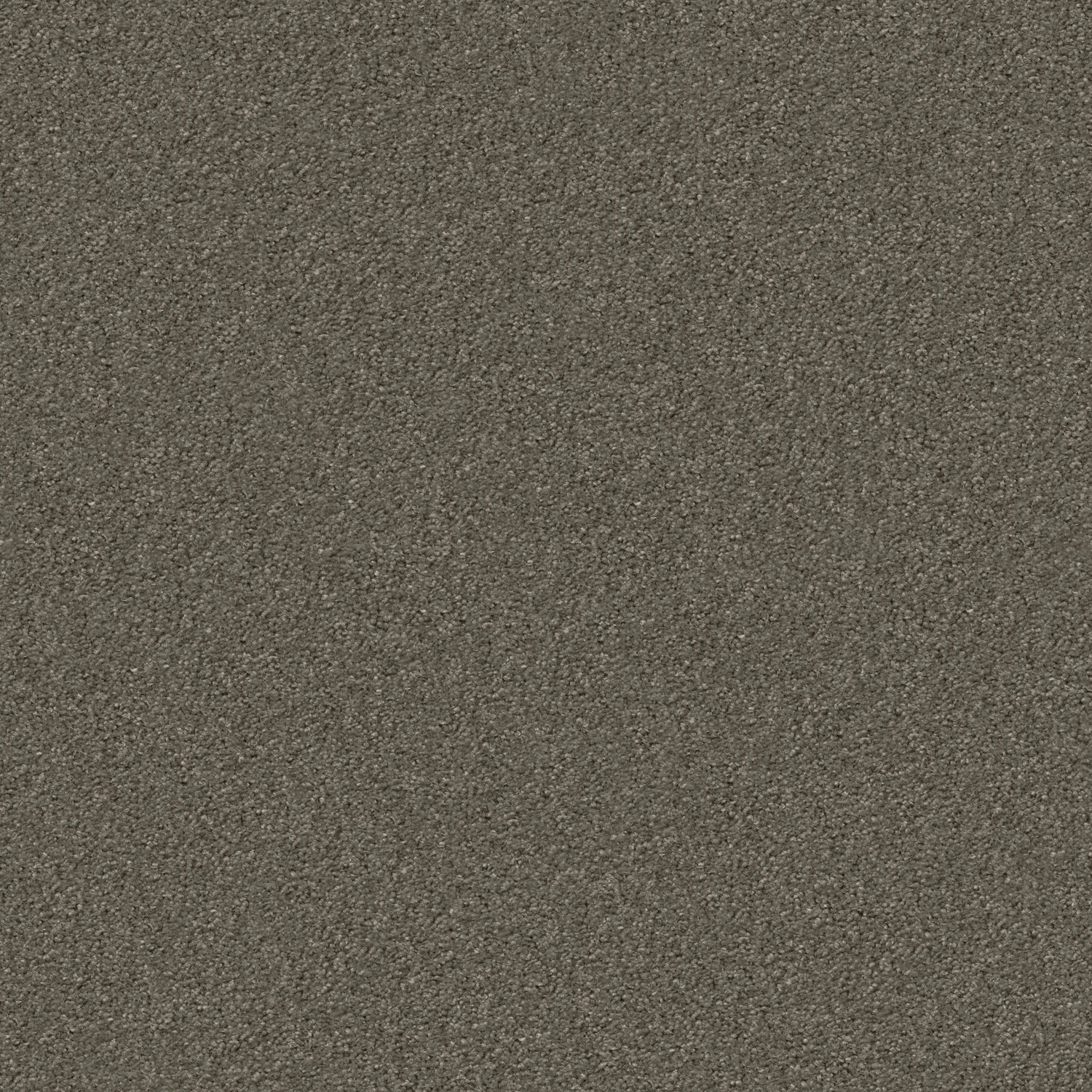 Silky Seal 1200 Acoustic 50x50 cm: 1215 Greige